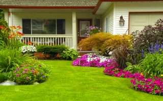 Benefits of having a landscape garden